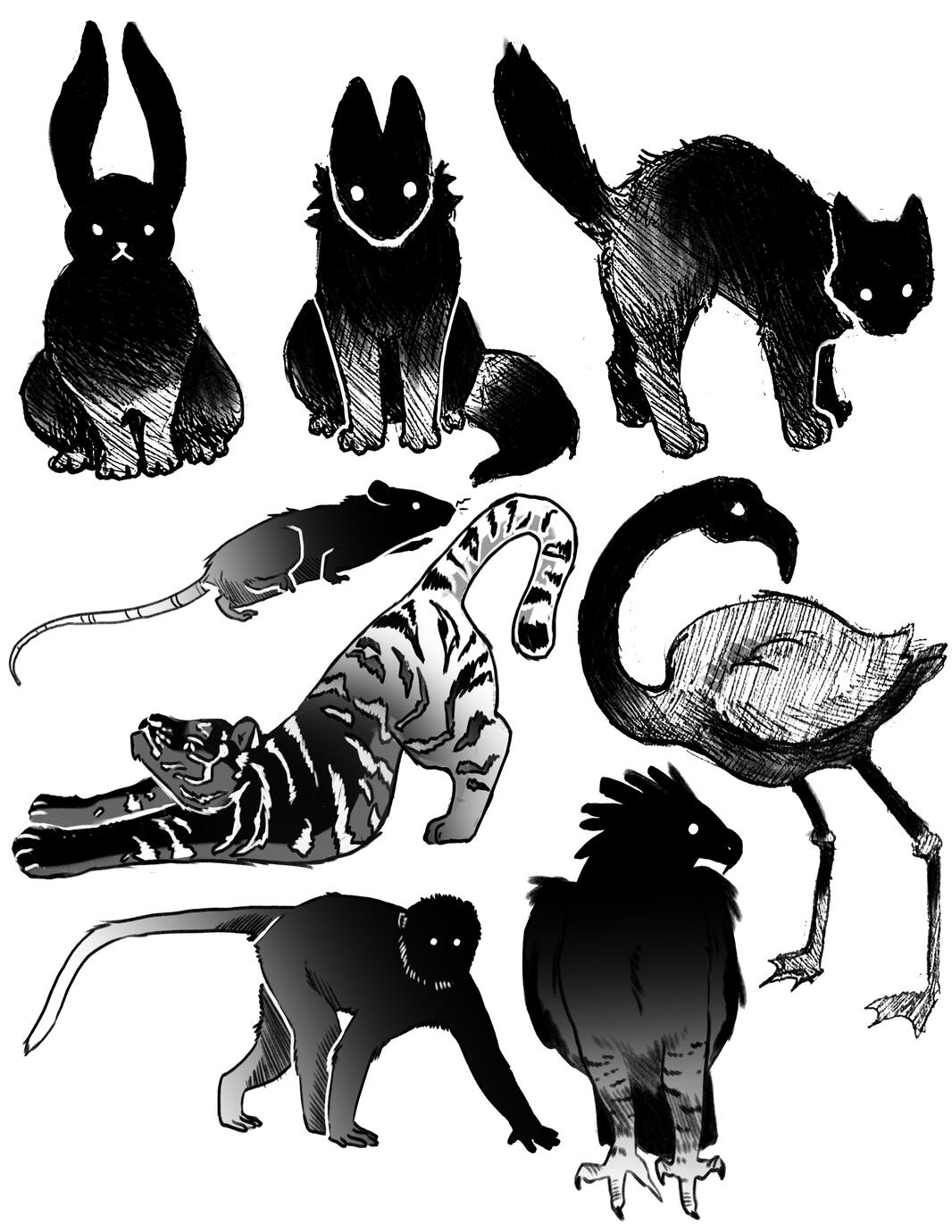 Shadows