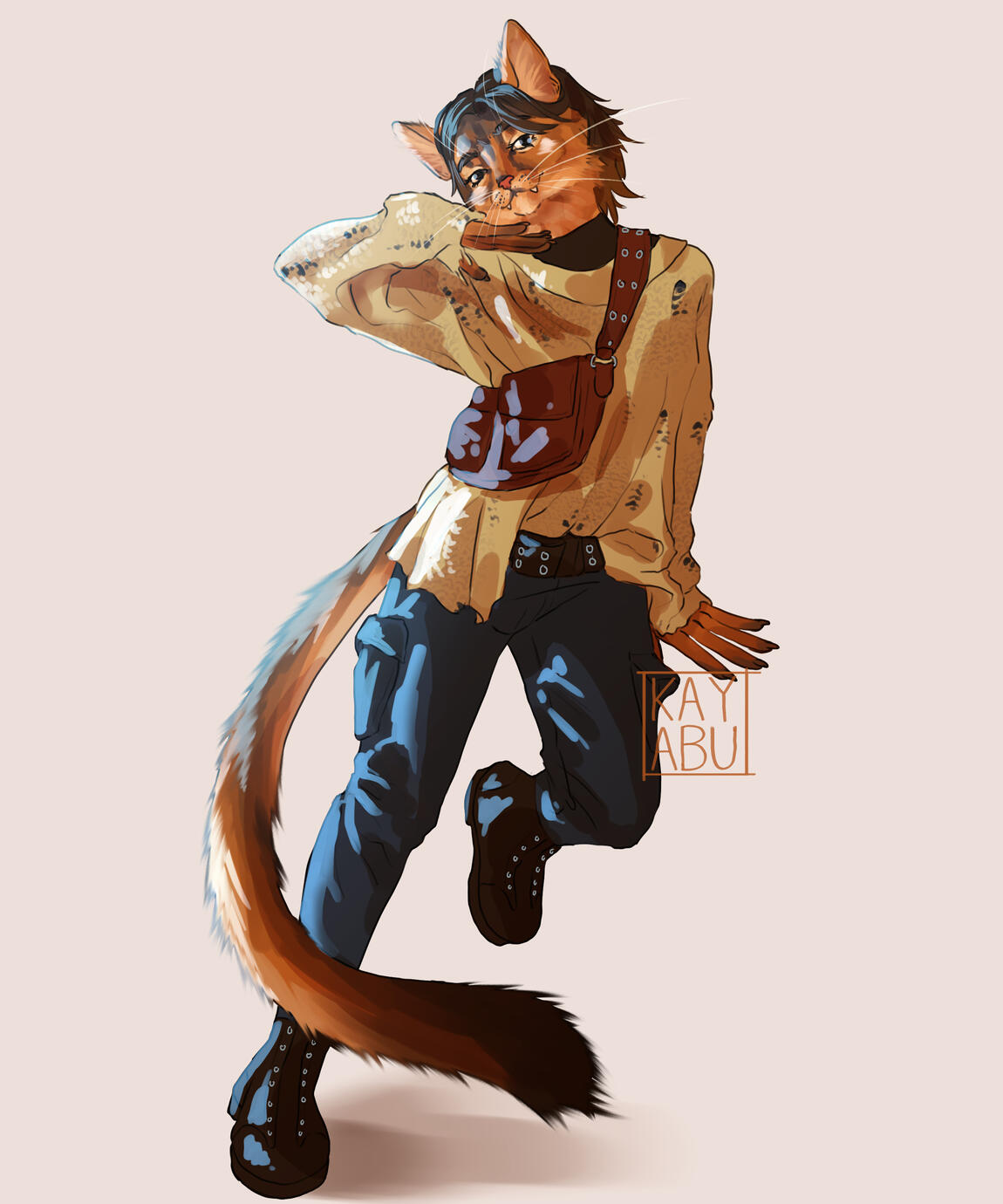 Long Coat Cat