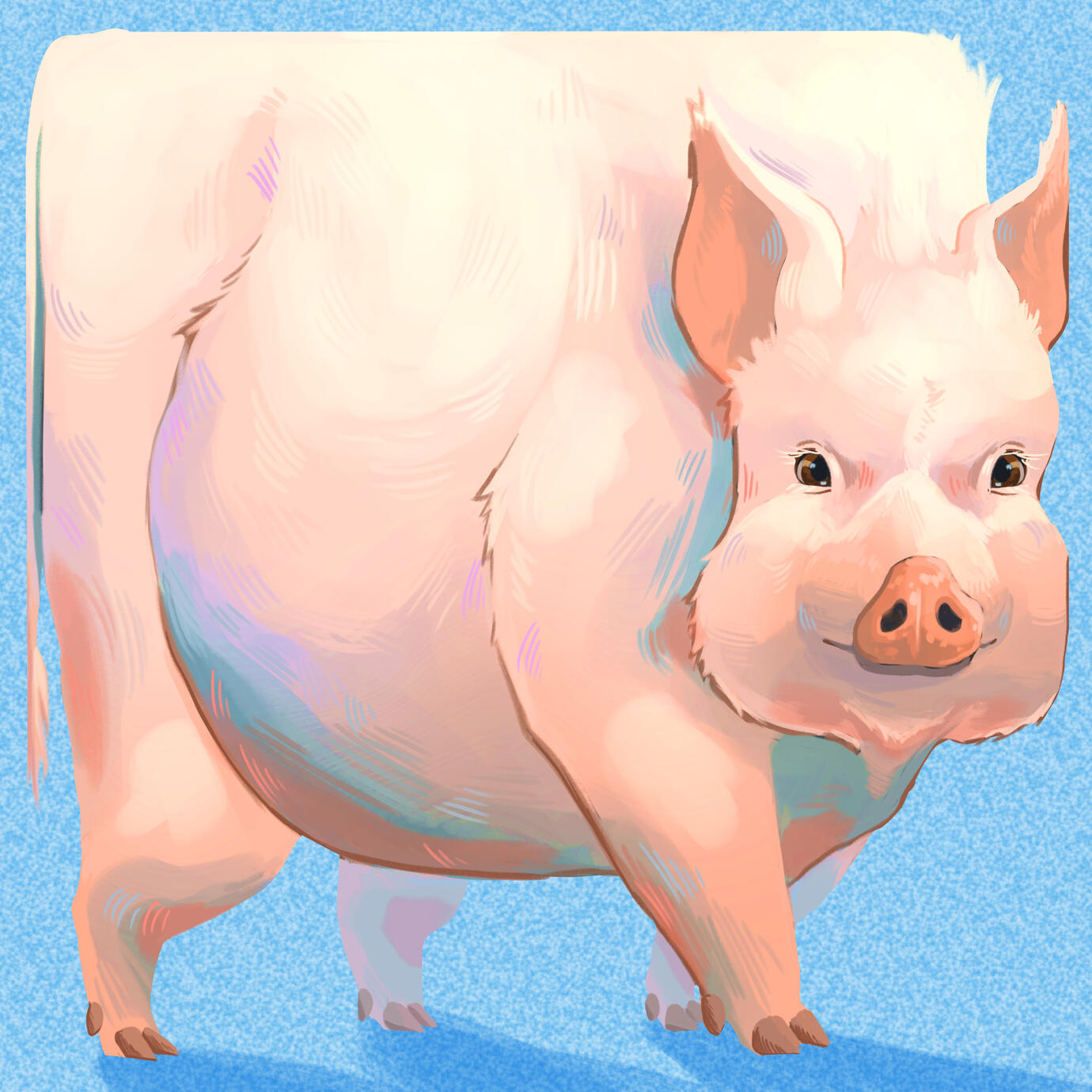 Unusual Friend
